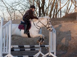 2011 Spring Marts